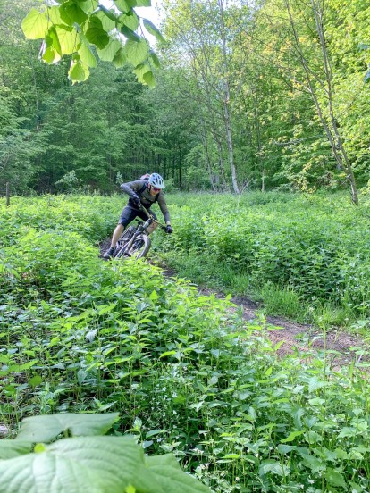 Outville Treuchtlingen Mountainbike 7