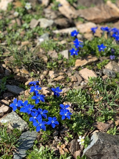 Outville Mountainbike Lenzerheide 9
