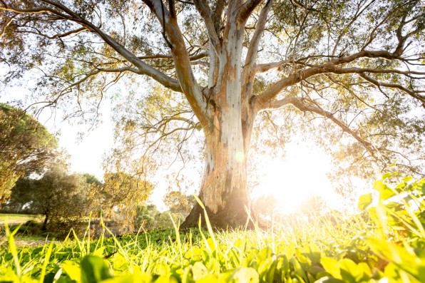 Outville Hommage ans Reisen 1