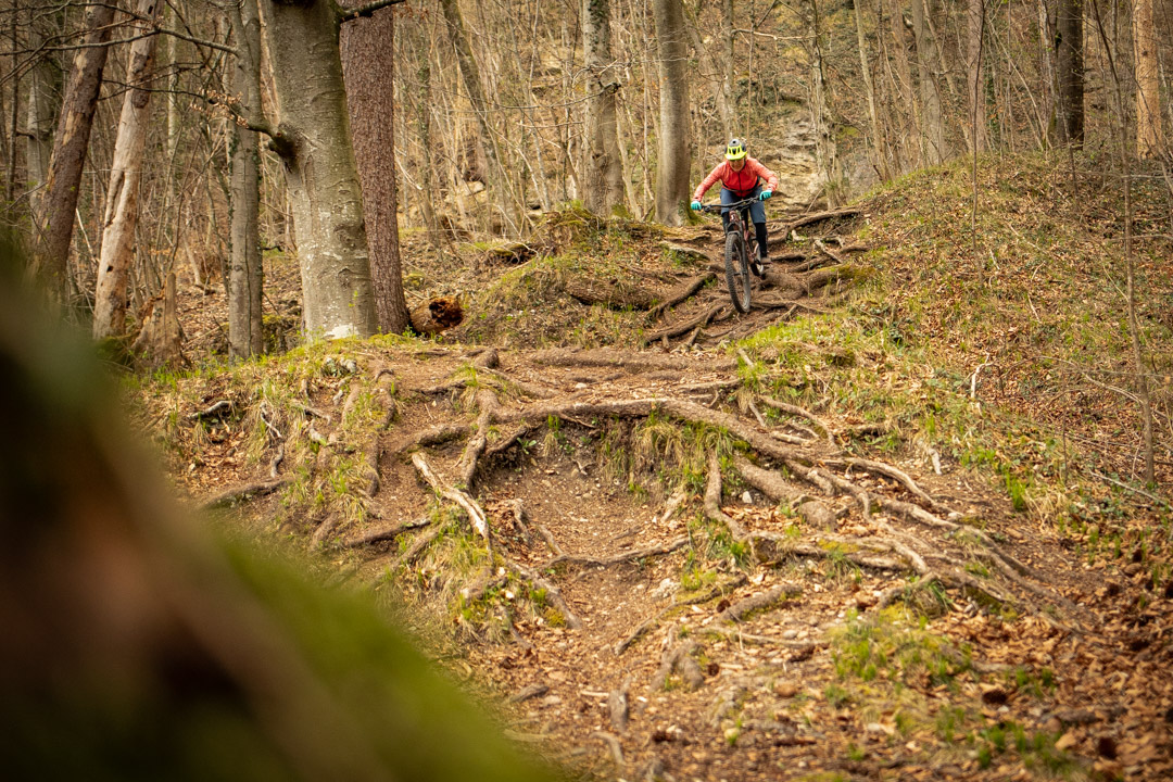 Mountainbiken auf den Isartrails