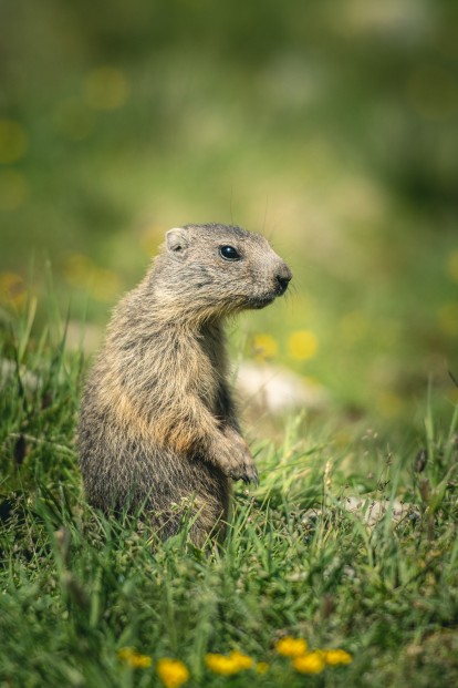 Outville Sellrainer Hüttenrunde 02_2