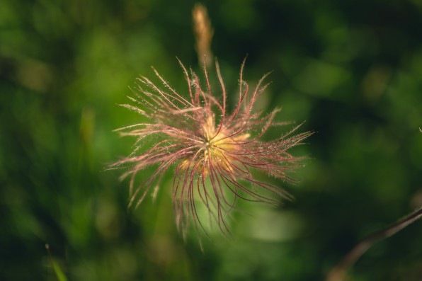 Outville Sellrainer Hüttenrunde 02_5