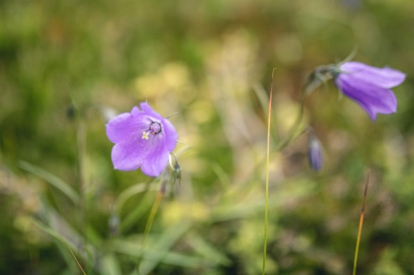 Outville Sellrainer Hüttenrunde 02_6