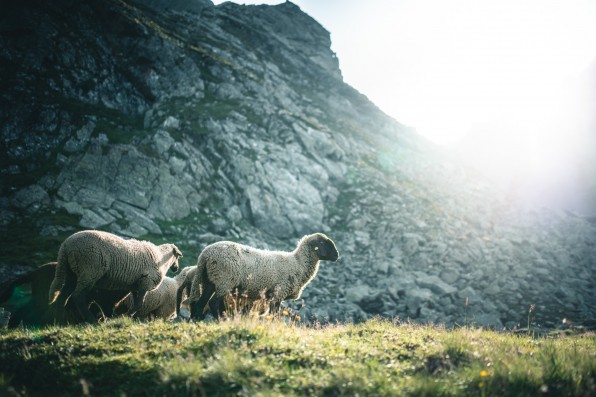 Outville Sellrainer Hüttenrunde 03_3