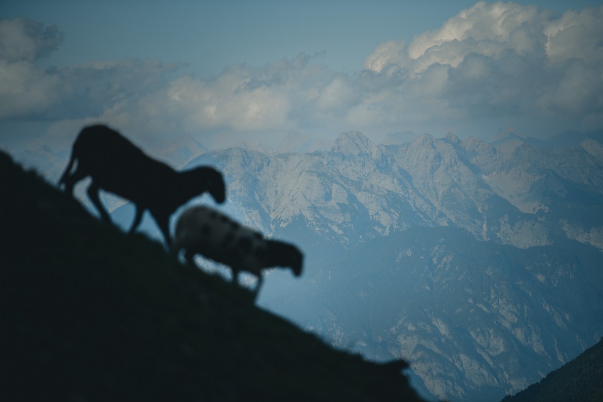 Outville Sellrainer Hüttenrunde 03_5