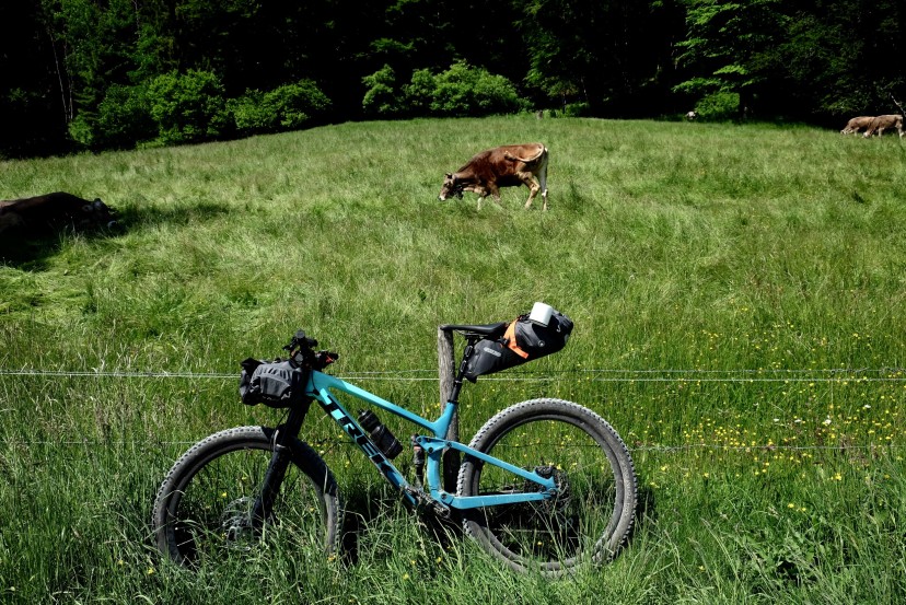 Outville_Family Bikepacking_Staffelsee_Forggensee_Bikelove_Cowlove