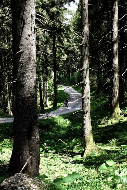 Outville_Family Bikepacking_Staffelsee_Forggensee_den Paul vor lauter Bäumen nicht mehr sehen