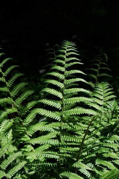 Outville_Family Bikepacking_Staffelsee_Forggensee_Farne all over