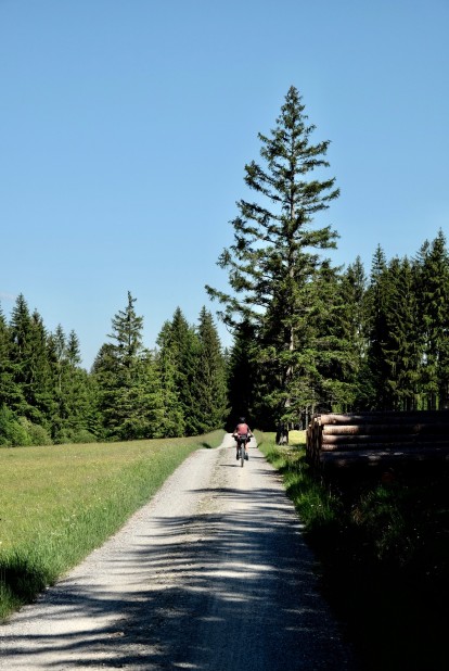 Outville_Family Bikepacking_Staffelsee_Forggensee_Paul und die Tannen