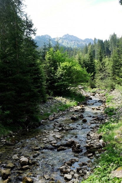Outville_Family Bikepacking_Staffelsee_Forggensee_überall ist Wasser