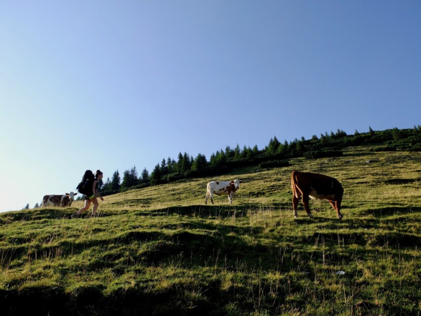 Outville Biwaktour Simetsberg 40