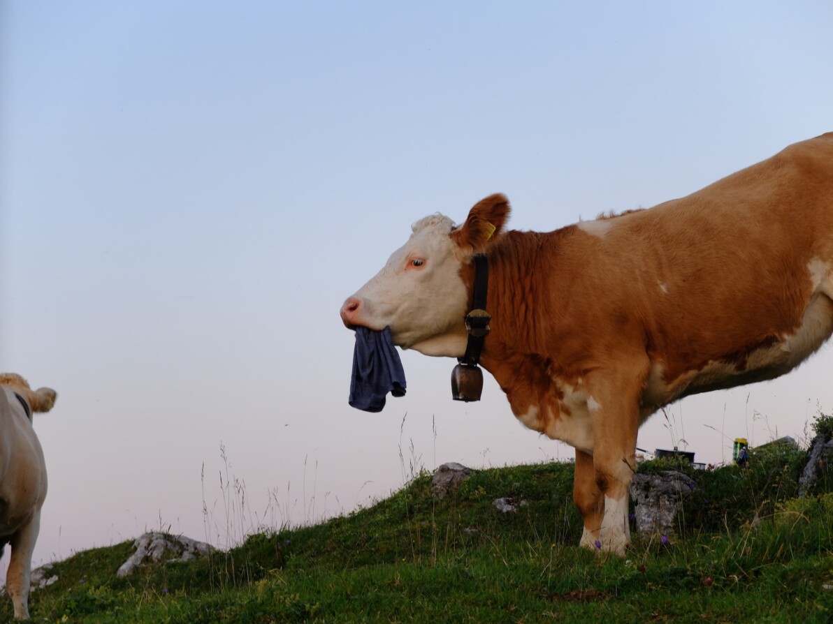 Outville Biwaktour Simetsberg 89