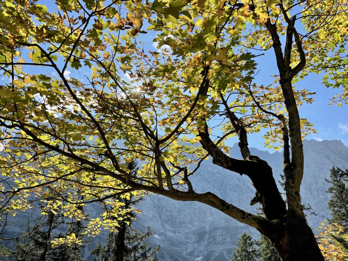 outville_herbstwanderungen großer ahornboden-002-2