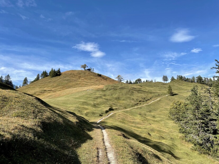 outville_herbstwanderungen hoher kranzberg-006