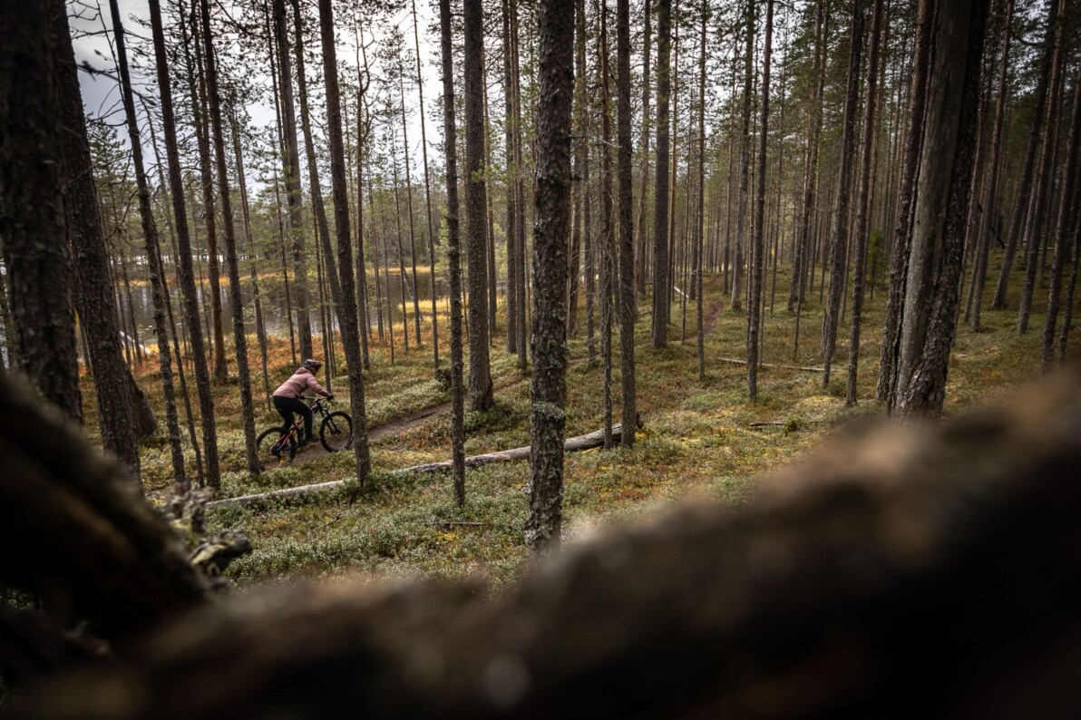 Mountainbiken im Hossa Nationalpark