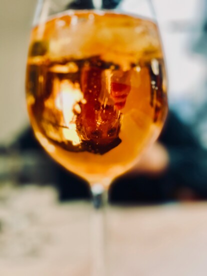 outville_gardasee-26