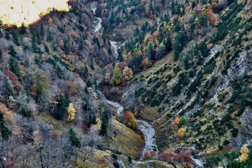 wanderung wolfsschlucht_outville-82