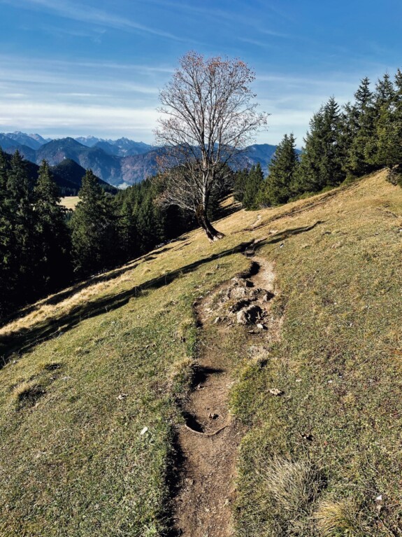 wanderungen ohne pkw_outville-74