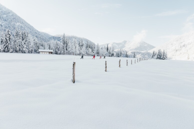 outville langlauf skating special-02