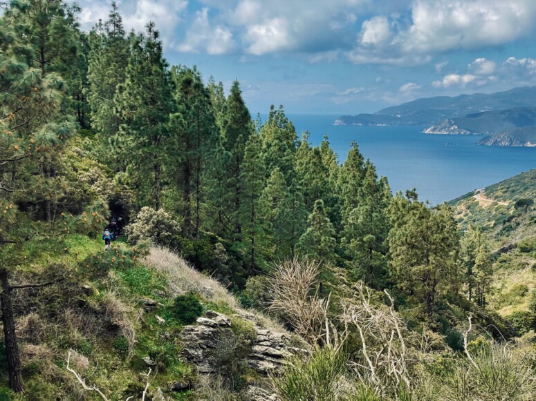 outville_elba mtb-74