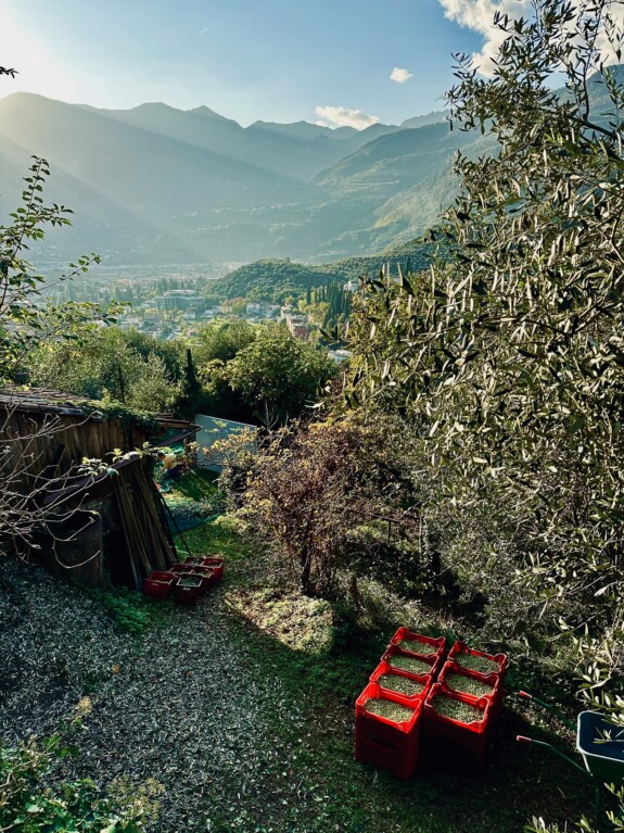 outville_gardasee-16